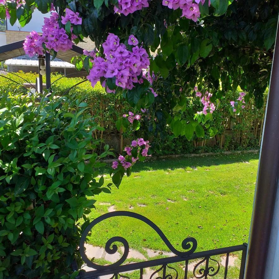 La Bouganville Di Sante E Rosa Manoppello ภายนอก รูปภาพ